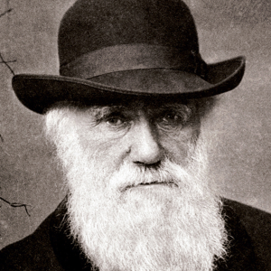 "Darwin and Museums" Lecture @ C106, Holmes Hall | East Lansing | Michigan | United States