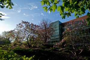 MSU Big Read 2018 Kickoff @ Green Room MSU Main Library | East Lansing | Michigan | United States