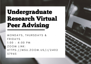 Undergraduate Research Virtual Peer Advising