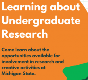 Learning about Undergraduate Research @ Online