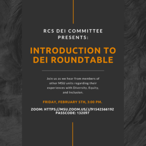 Introduction to DEI Roundtable @ Zoom